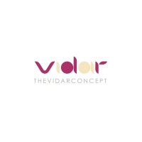 the vidar concept logo - Similar company to Pace Cyber Ventures