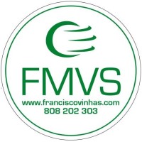 FMVS logo - Similar company to Fmv̈S