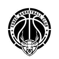 ESSEC Basketball Club logo - Similar company to Batouwe Basketball