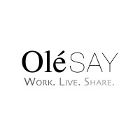 Olesay logo - Similar company to Fabconnecther