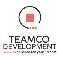 TEAM CO Development logo - Similar company to Webheat / Web Warehouse Bv