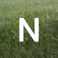 Neighbors logo - Similar company to E-Commerce@Berkeley