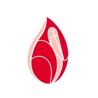 Irish Blood Transfusion Service logo - Similar company to National Spinal Injuries Unit Research Group