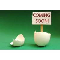 Canara Estate Consultants  Mumbai logo - Similar company to Ecomind