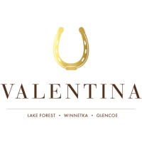 Valentina logo - Similar company to Pgmodeler