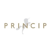 Princip logo - Similar company to Cinq-Cinq