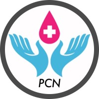 Professional Care Nursing logo - Similar company to Step By Step Home Care Professionals