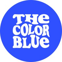 The Color Blue Vintage logo - Similar company to Process Payments Now