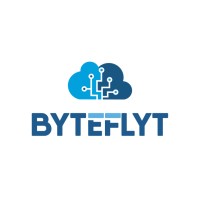 ByteFlyt logo - Similar company to Bytefly, Inc.