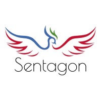 SENTAGON logo - Similar company to Eftsecure