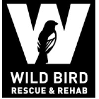 Wild BIRD Rescue and Rehab logo - Similar company to Belize Bird Rescue