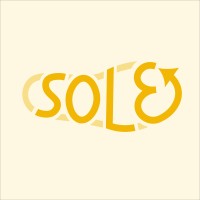 Soleback logo - Similar company to Acnoum