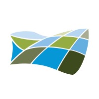 Olivetree Group logo - Similar company to Alphier Capital