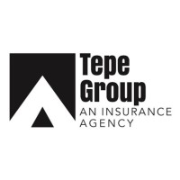 Tepe Group logo - Similar company to Tepe Group As