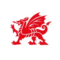 Wales in India logo - Similar company to British Alumni Network