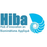 UM6P - Hiba : Hub d'Innovation en Biomimétisme Appliqué logo - Similar company to Um6P Corelabs