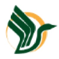 Anser Tecnologia logo - Similar company to Valorize-Ai