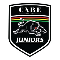 Panthers Juniors logo - Similar company to 3D Warehousing & Logistics