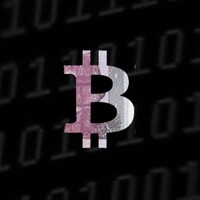 Bit x Bit: In Bitcoin We Trust logo - Similar company to Vysre, Inc