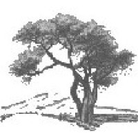 Silver Oak Partners logo - Similar company to The Startup Workshop {Tsw}