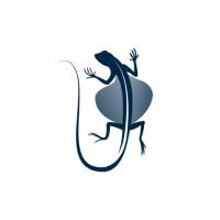 Dracode logo - Similar company to Dracode