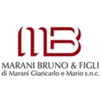 Falegnameria Marani logo - Similar company to Plugvan Gmbh