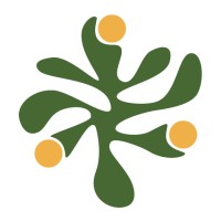 Matico Studio logo - Similar company to Ius Latam