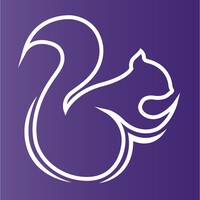 Knowledge Squirrel logo - Similar company to Studio Masons