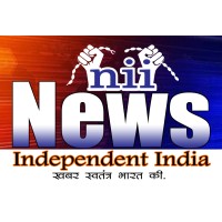 News Independent India logo - Similar company to The Brief India