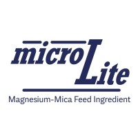 Micro-Lite LLC