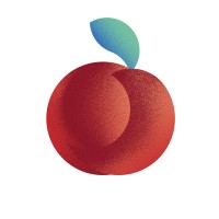 Sales Peach logo - Similar company to Exttech Development