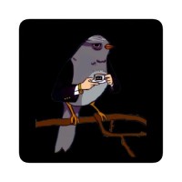 Verity Systems logo - Similar company to 0Xlabs.Dev