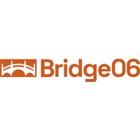 Bridge06 logo - Similar company to Bright Pathway