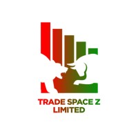THE TRADE SPACE Z LIMITED logo - Similar company to Trendlabs