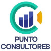 Punto Consultores logo - Similar company to It Strategy
