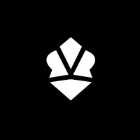 CAMELEON logo - Similar company to Nexxled