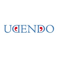 Udendo logo - Similar company to Elettrosonor Srl