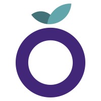 Blueberry Development LLC logo - Similar company to Wolfhead Digital