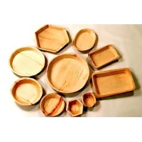 Areca Leaf Products Home logo - Similar company to Green Sapling