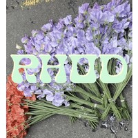 RHODflowers logo - Similar company to 2812 Studio