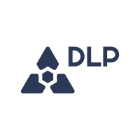 Developmental Leadership Program (DLP) logo - Similar company to Vitalstats Innovations Pvt Ltd