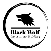 Black Wolf Investment Holding logo - Similar company to Livelyverse