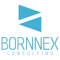 BORNNEX Consulting logo - Similar company to Renable Aps