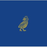Rodeo Bird Holdings logo - Similar company to Midland Times News