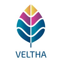 Veltha logo - Similar company to Forkbomb Bv