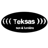 TEKSAS logo - Similar company to Sis-B Solutions
