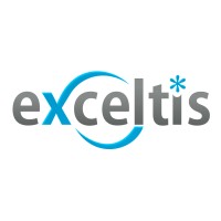 Exceltis Consulting logo - Similar company to Adaptive Solutions Tech