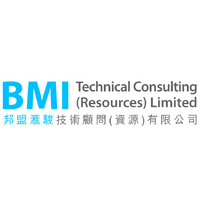 BMI Technical Consulting (Resources) Limited logo - Similar company to Amplified Capital
