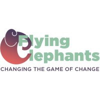 Flying Elephants NL logo - Similar company to Flying Elephant