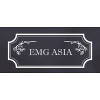 EMG ASIA logo - Similar company to Export & Business Center